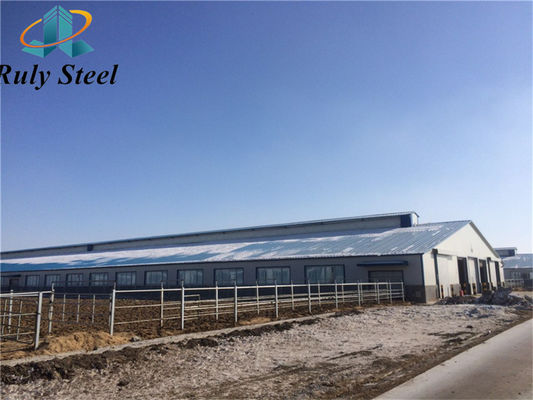 Struktur baja H-Beam Prefab Rumah unggas dengan panel sandwich
