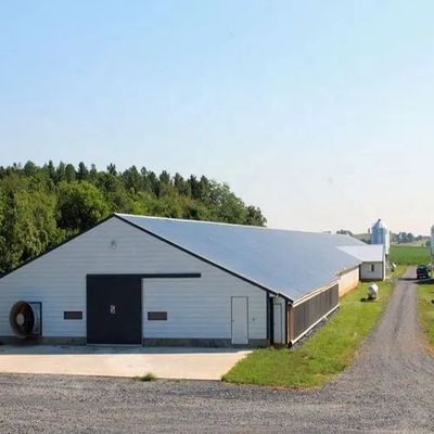 Rumah Unggas Struktur Baja Prefabrik Rumah Unggas Dengan Panel Sandwich Baja Galvanis