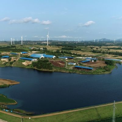 Gedung Baja Modular Struktur Baja Prefabrikasi untuk Peternakan Sapi dengan Perawatan Permukaan Tahan Lama dan Umur Panjang