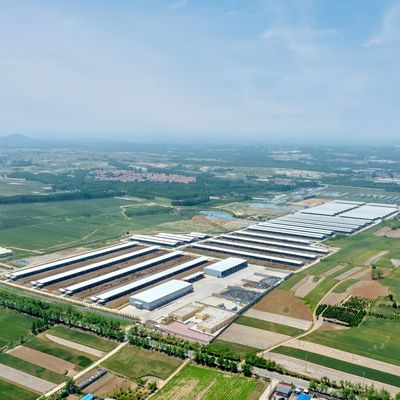 Gedung Baja Modular Struktur Baja Prefabrikasi untuk Peternakan Sapi dengan Perawatan Permukaan Tahan Lama dan Umur Panjang