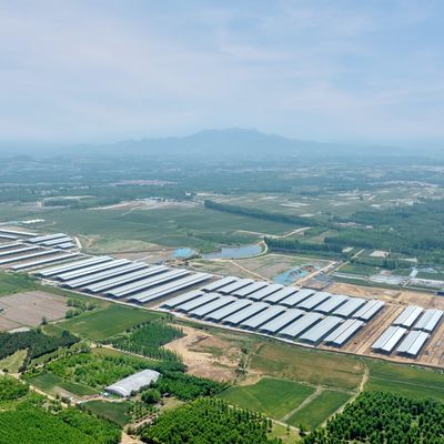 Desain Pasokan Struktur Baja Modern Gudang Pertanian Susu Gudang Sapi Logam Dengan Sistem Ventilasi