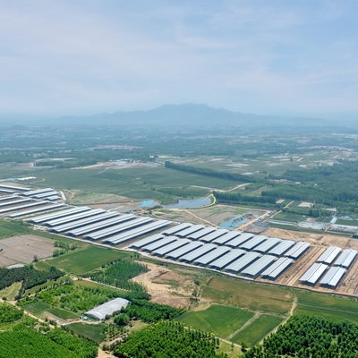 Bengkel Bangunan Baja Bertingkat Multi-Prefabrikasi dengan Bentang Lebar