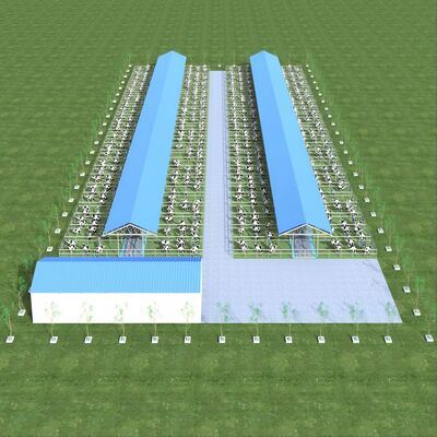 Desain Pasokan Struktur Baja Modern Gudang Pertanian Susu Gudang Sapi Logam Dengan Sistem Ventilasi