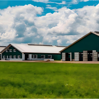 Ukuran 120m x 20m Desain terisolasi Struktur baja prefabrikasi Rumah ayam