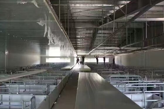 Bangunan Prefabrikasi Rumah Unggas Struktur Baja Rumah Pertanian Unggas Bangunan rangka baja untuk kandang sapi