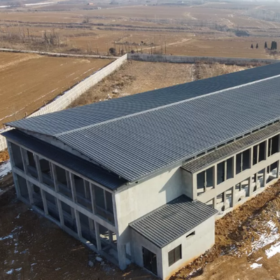 Prefabricated Steel Structure Cattle Shed for Dairy Farm