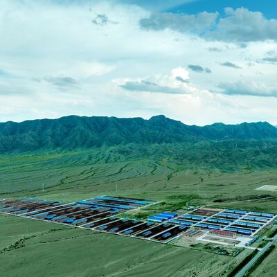 Long Serive Life Struktur Baja Prefab Sarang Sapi Dengan Perawatan Permukaan
