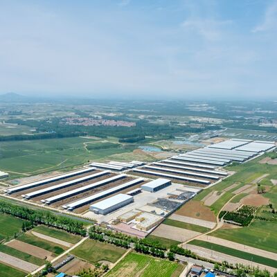 Long Serive Life Struktur Baja Prefab Sarang Sapi Dengan Perawatan Permukaan
